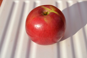 Snowsweet apple
