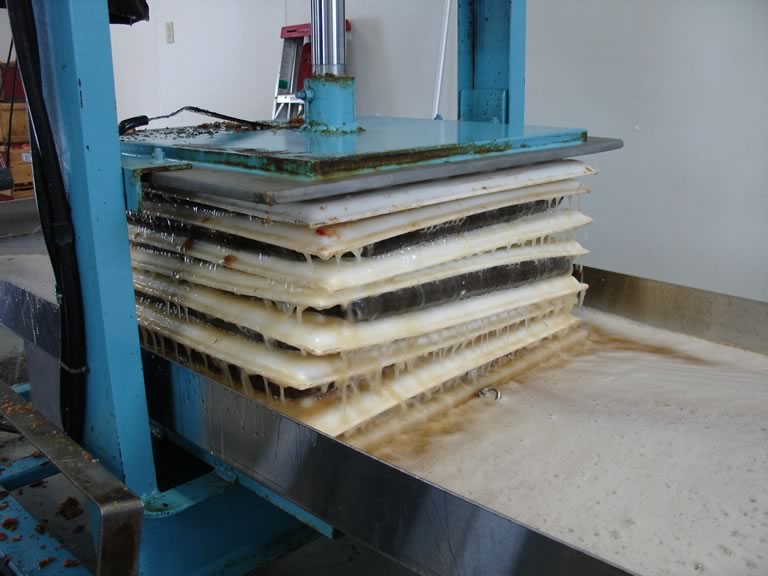ground apples being squeezed