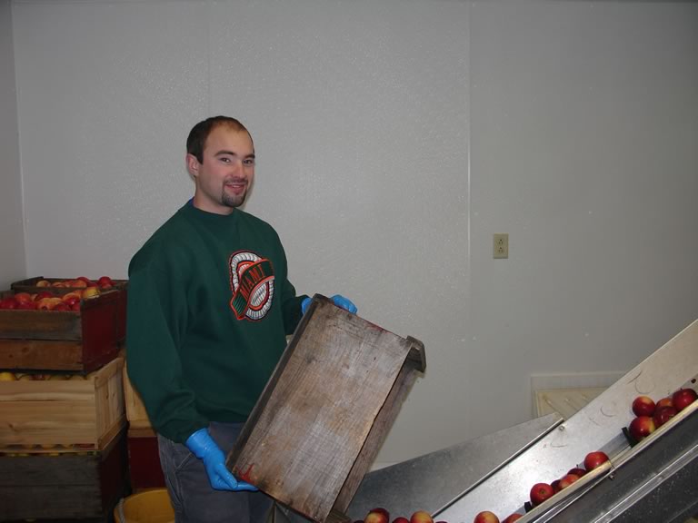 man loading apples