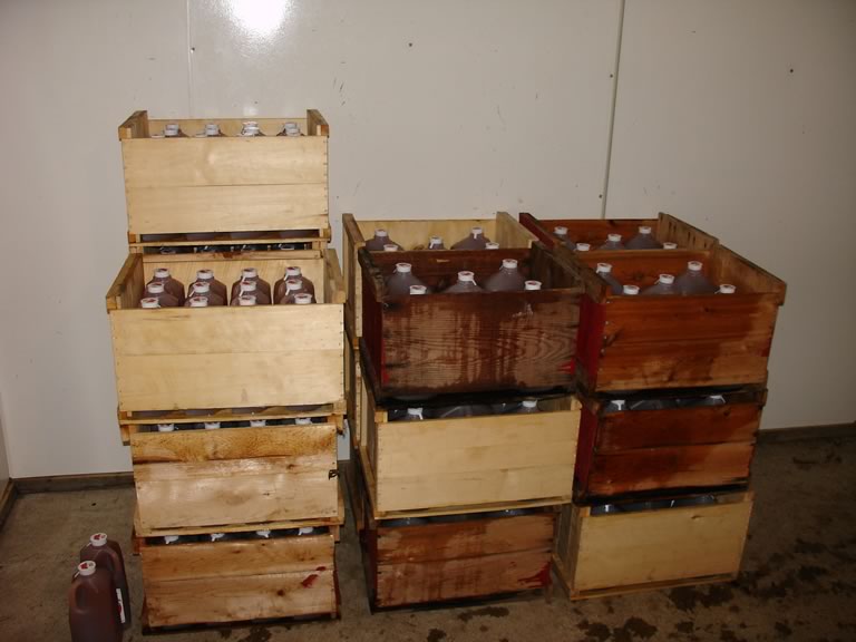 gallons of cider in the cooler