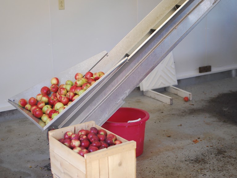 conveyor