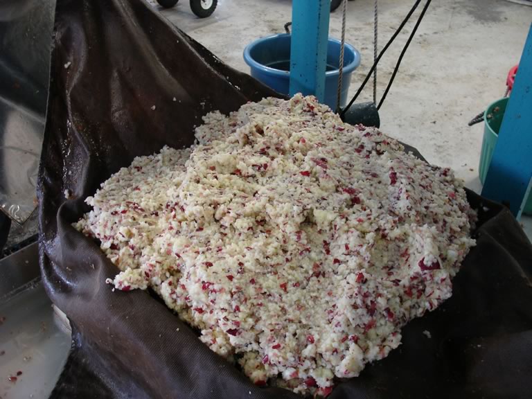 ground apples