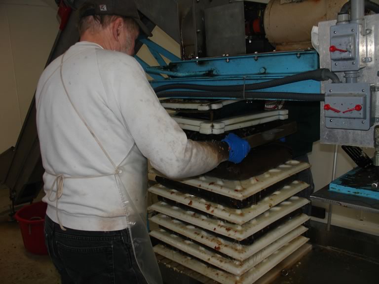 man operating cider press