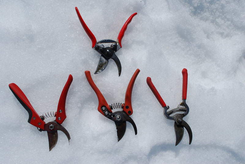 a variety of pruners