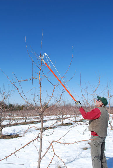 man using pole clip