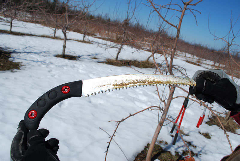 a handsaw